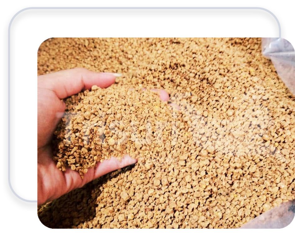 Pakan ayam crumble