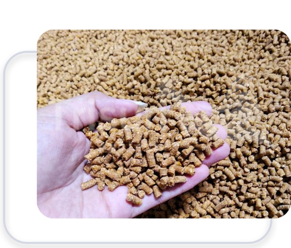 Pakan ayam pellet